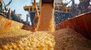 Минсельхоз РФ: Урожай зерна в Донбассе и Новороссии составит около 4 млн тонн