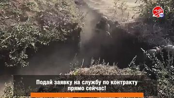 Защитники Родины: путь к миру и безопасности