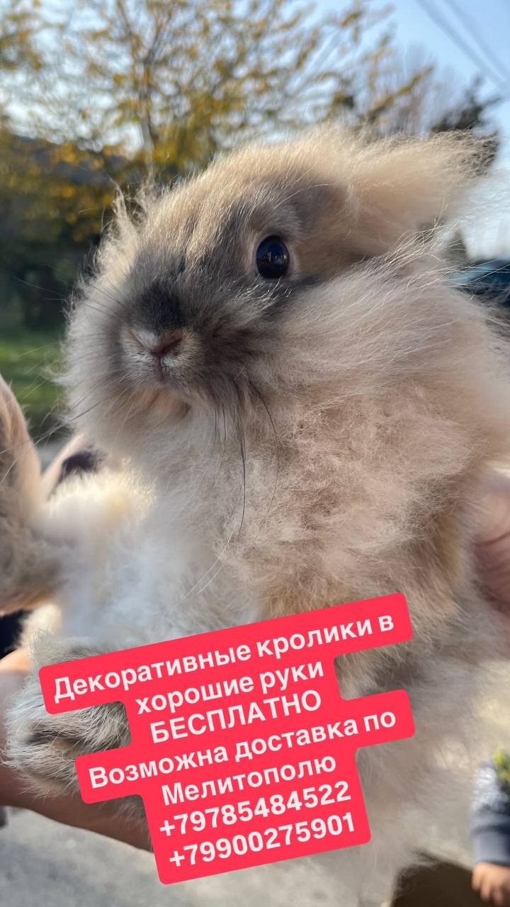 Вы только посмотрите какие Милахи - Возьмите себе друга Вы только посмотрите какие Милахи - Возьмите себе друга