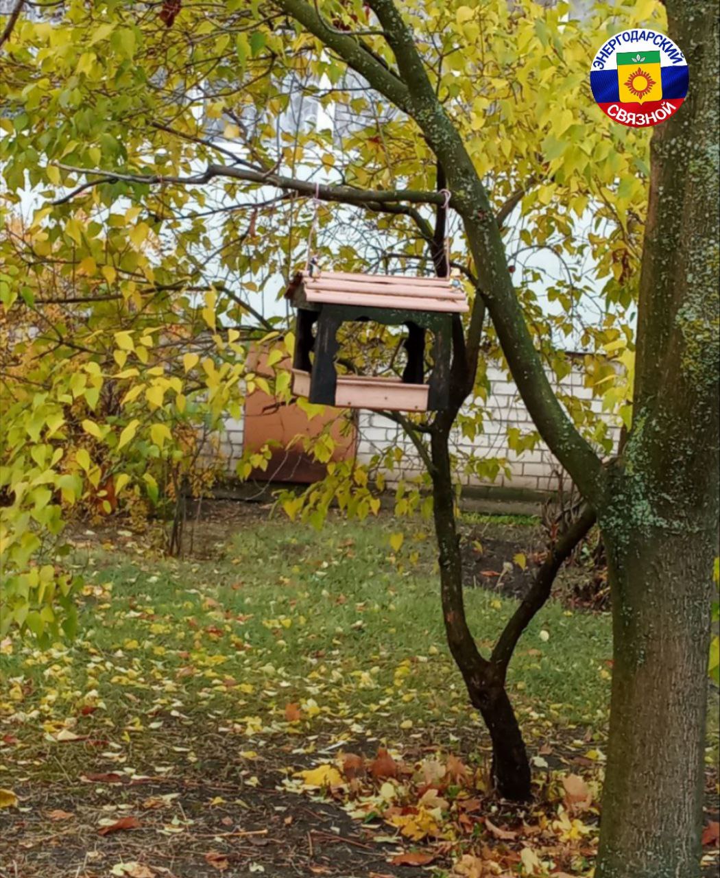 Доброе утро! Глубоко вдохните уютное тепло сонного настроения и выдохните с бодрым настроением