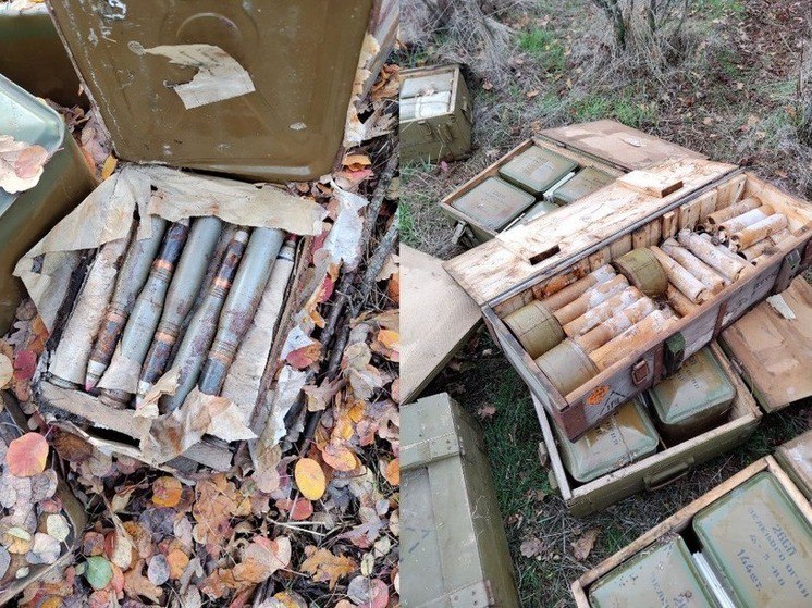 В Запорожской области полицейские обнаружили схрон с боеприпасами
