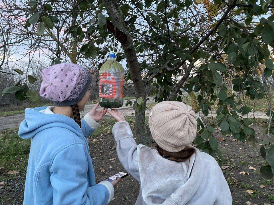 12 ноября в нашей стране отмечается "Синичкин день" – это молодой экологический праздник 12 ноября в нашей стране отмечается "Синичкин день" – это молодой экологический праздник