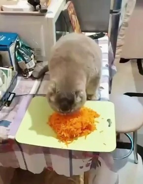 А вот и утро четверга. Полезно завтракаем и спешим на работу