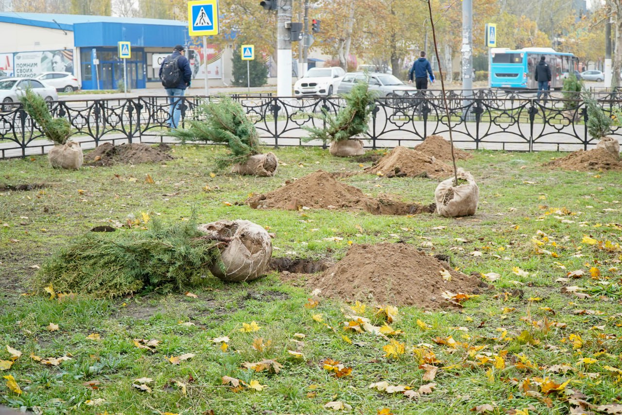 Сергей Золотарёв: Ведется плановая работа по озеленению Сергей Золотарёв: Ведется плановая работа по озеленению