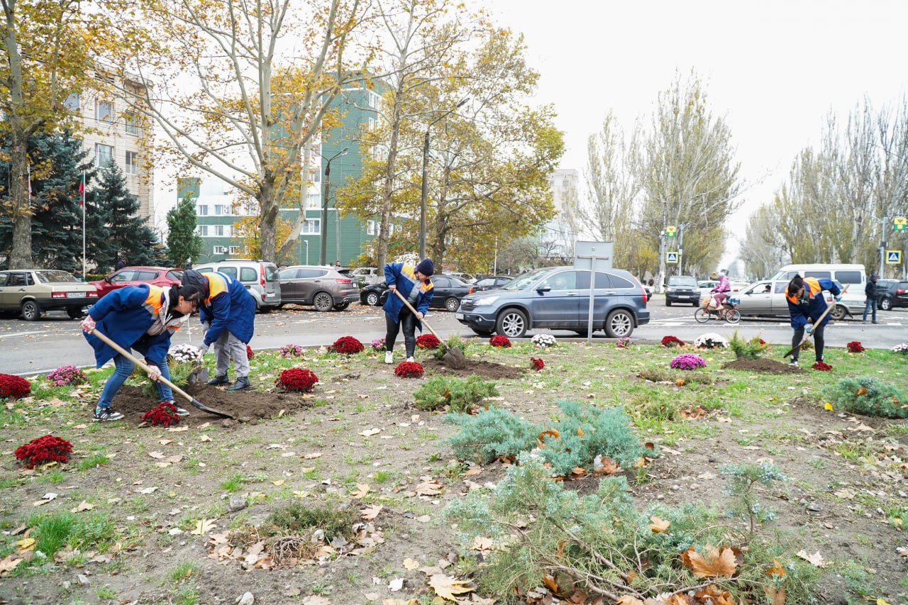 Сергей Золотарёв: Ведется плановая работа по озеленению Сергей Золотарёв: Ведется плановая работа по озеленению