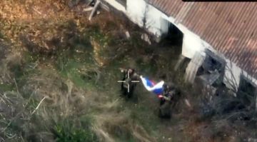 Российская армия освободила село Даниловка на Гуляйпольском направлении