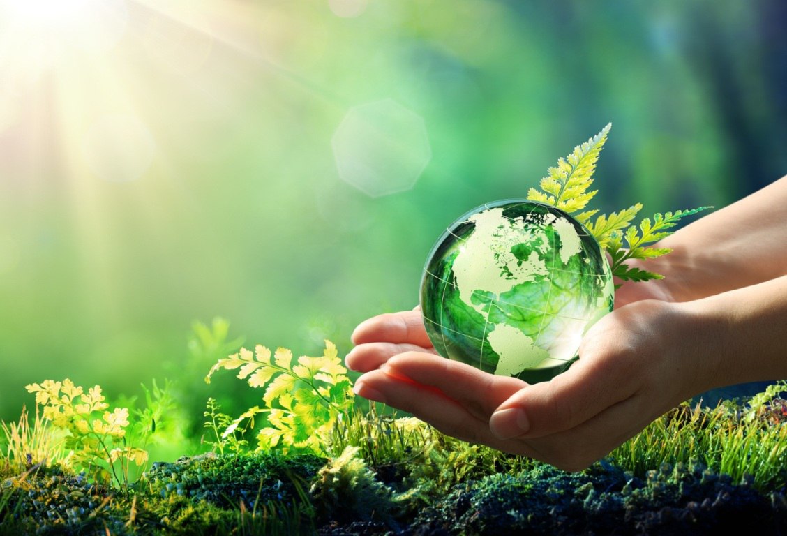 В Москве обсудят восстановление экосистем Донбасса и Новороссии