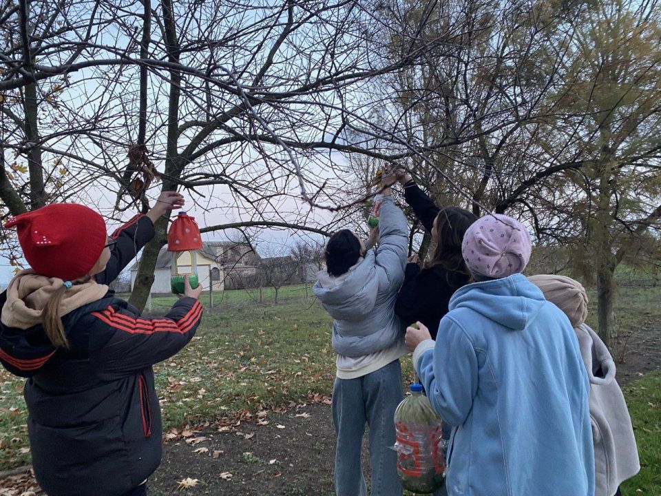 12 ноября в нашей стране отмечается "Синичкин день" – это молодой экологический праздник 12 ноября в нашей стране отмечается "Синичкин день" – это молодой экологический праздник