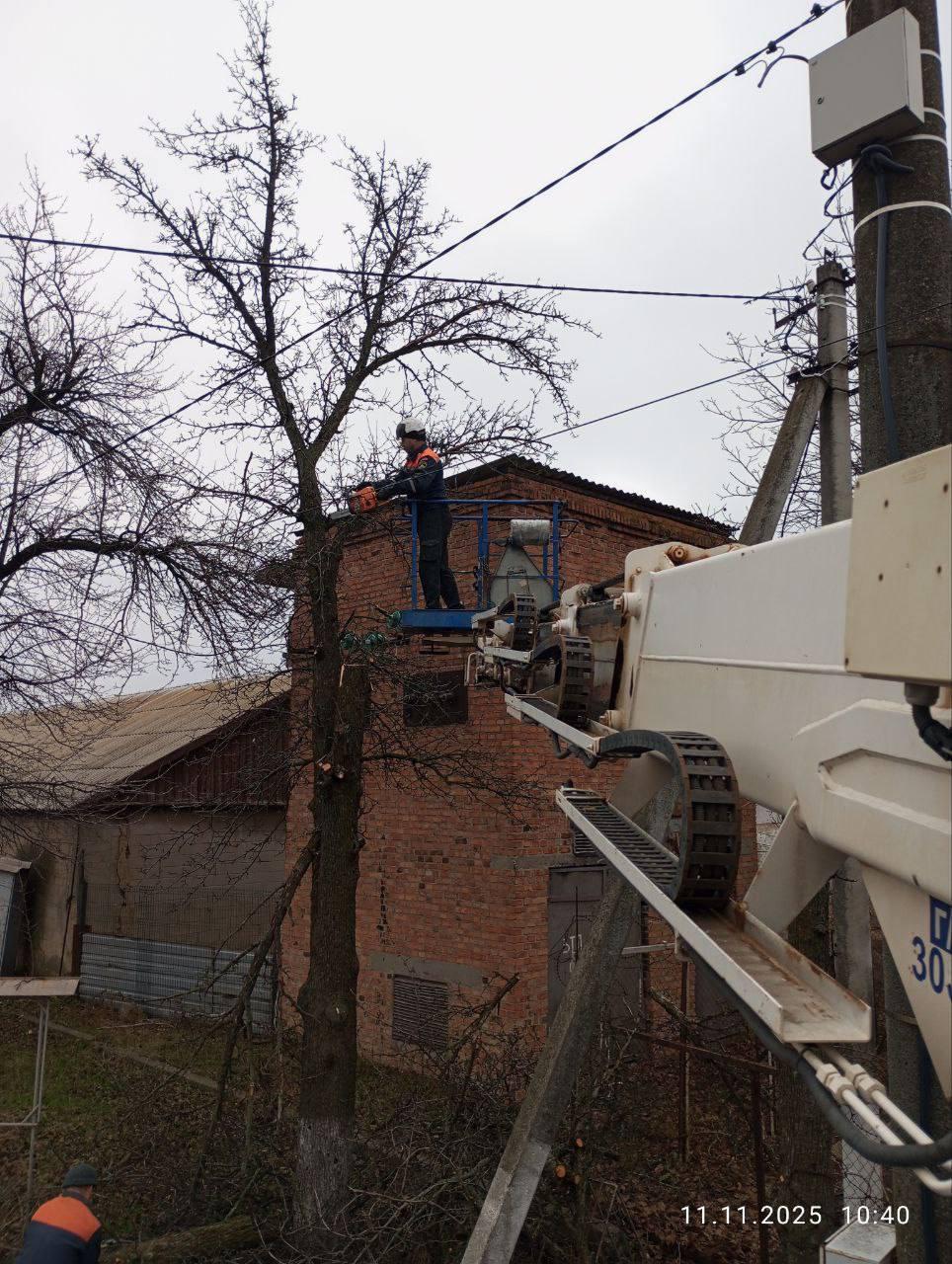 В Пологах от разросшихся деревьев освобождены линии электропередач на четырех улицах В Пологах от разросшихся деревьев освобождены линии электропередач на четырех улицах