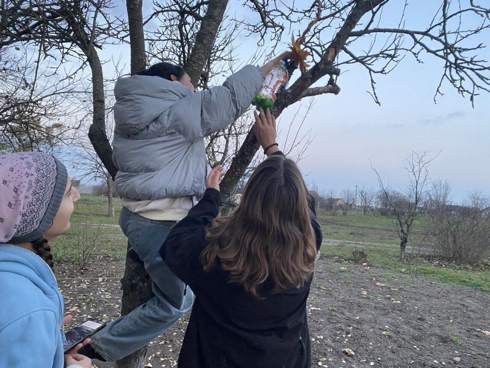 12 ноября в нашей стране отмечается "Синичкин день" – это молодой экологический праздник 12 ноября в нашей стране отмечается "Синичкин день" – это молодой экологический праздник
