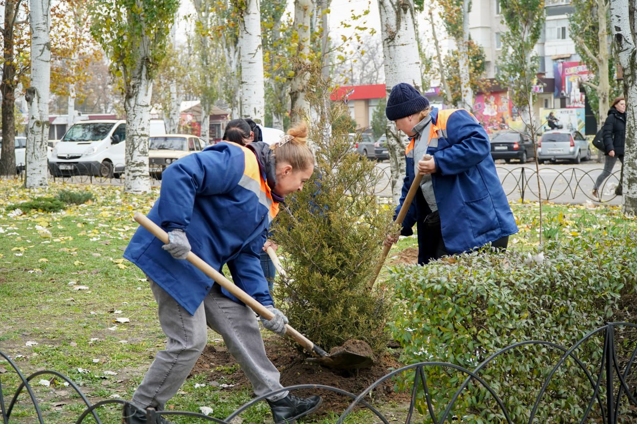 Сергей Золотарёв: Ведется плановая работа по озеленению Сергей Золотарёв: Ведется плановая работа по озеленению
