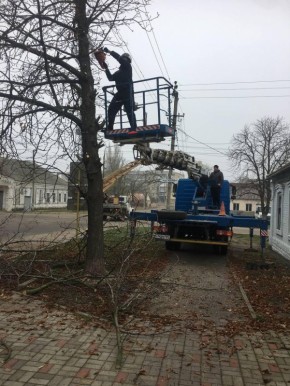 В Пологах от разросшихся деревьев освобождены линии электропередач на четырех улицах