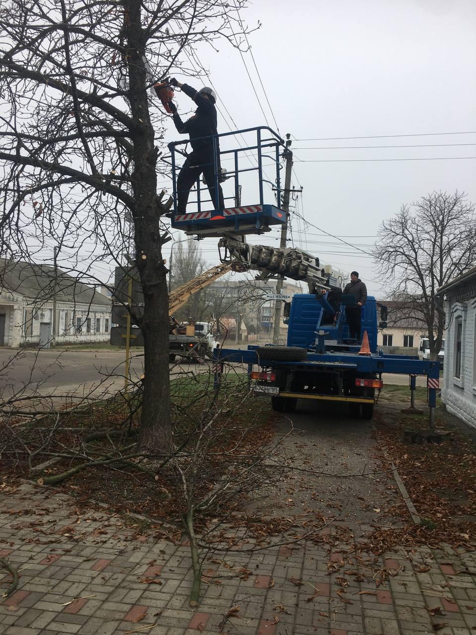В Пологах от разросшихся деревьев освобождены линии электропередач на четырех улицах