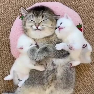 Уже вечер. Удобно укладываемся и спать, завтра снова на работу