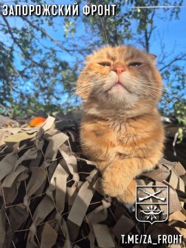 Всем бодрого утра с Запорожского направления