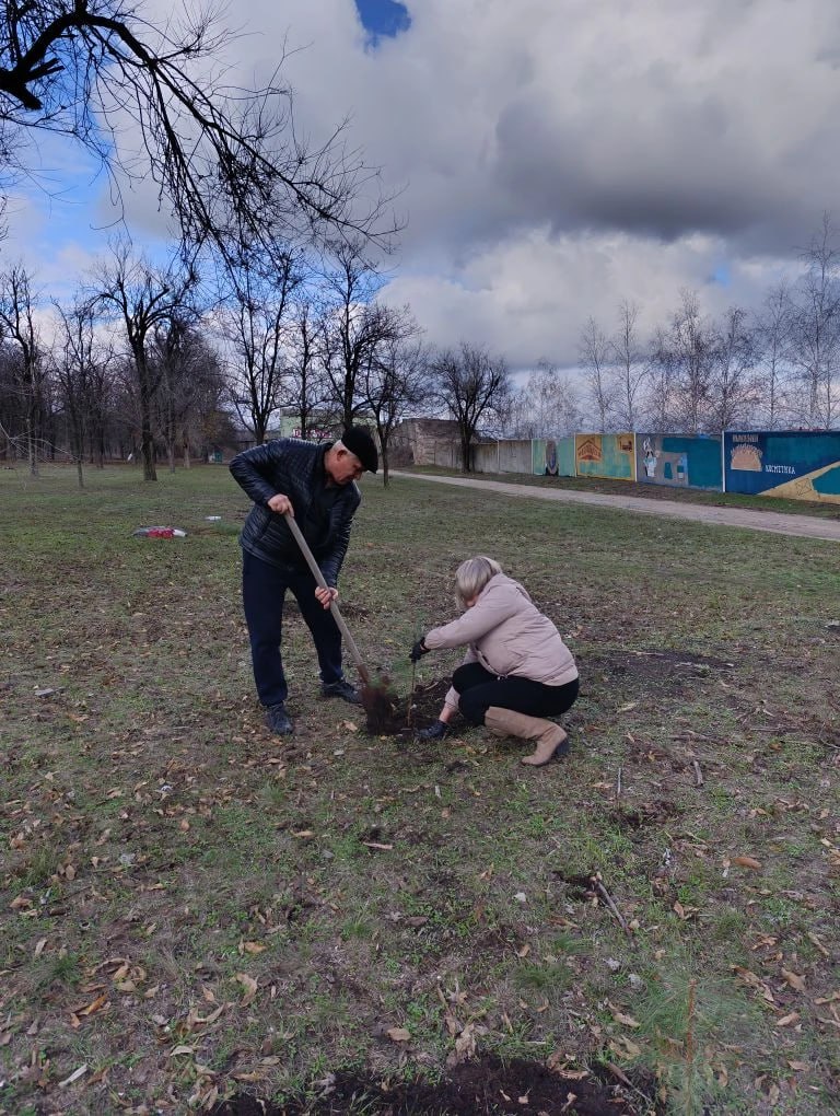 Единороссы высадили аллею доброты