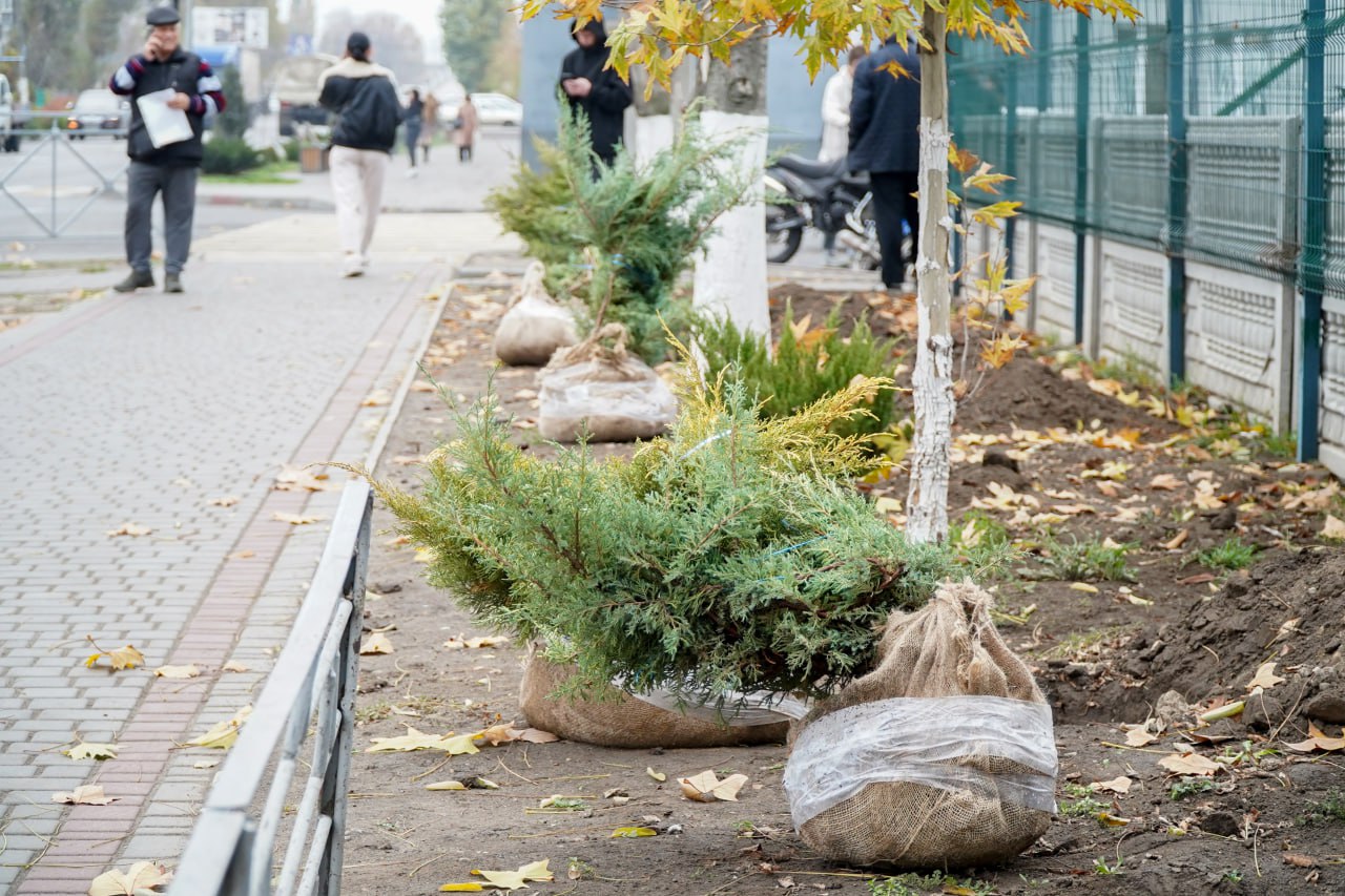Сергей Золотарёв: Ведется плановая работа по озеленению Сергей Золотарёв: Ведется плановая работа по озеленению