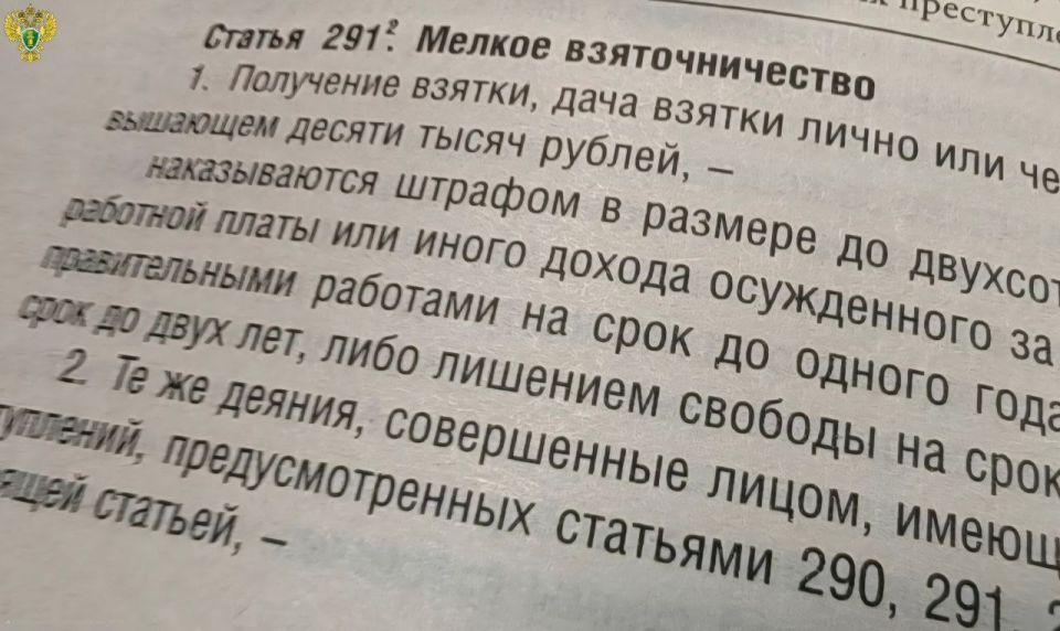 Прокуратура сообщает: житель Каменки оштрафован за попытку подкупа сотрудника ДПС