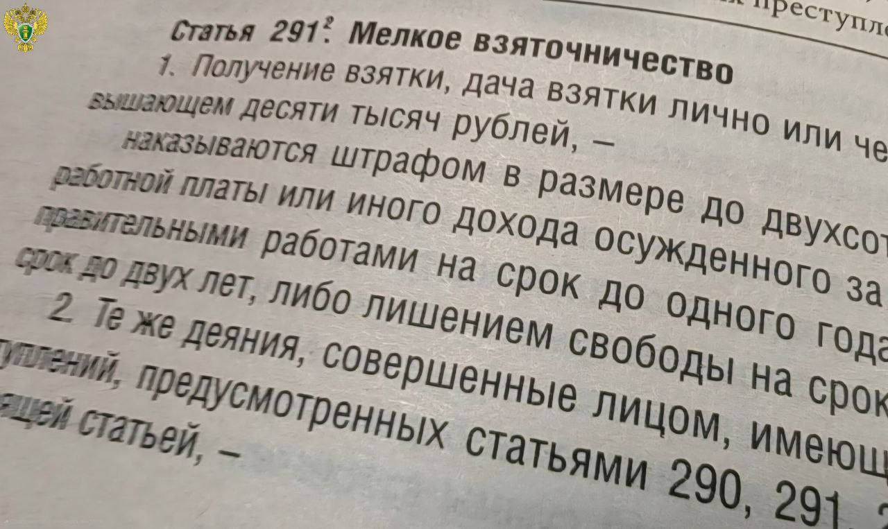 Прокуратура сообщает: житель Каменки оштрафован за попытку подкупа сотрудника ДПС