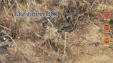 Расчет БпЛА 30 мсп 44 Армейского корпуса ликвидировал группу боевиков ВСУ