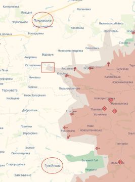 Алексей Живов: Российская армия, заняв Даниловку в Днепропетровской области, нарушила логистику ВСУ в Гуляйполе с севера