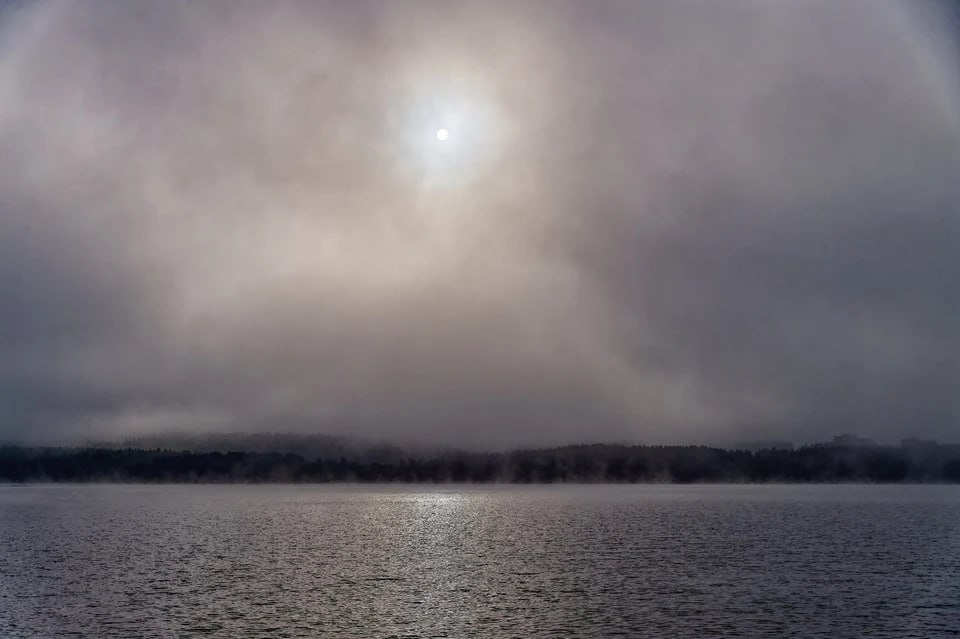 Тумана и похолодания стоит ждать в Запорожской области 14 ноября