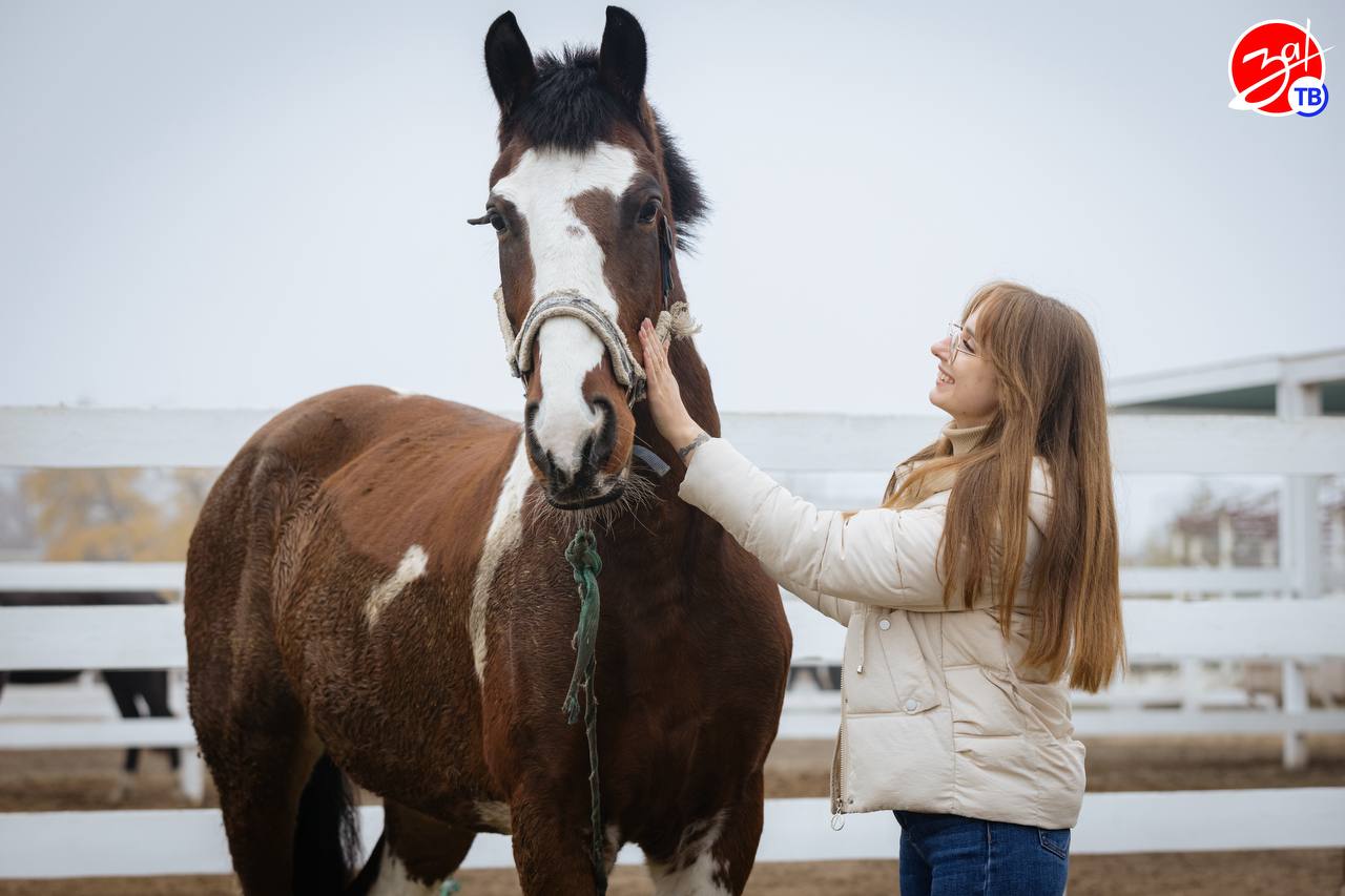 В конно-спортивном комплексе «Аллюр» состоялся субботник В конно-спортивном комплексе «Аллюр» состоялся субботник