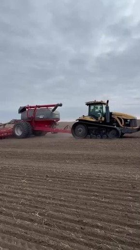 Андрей Сигута: Завершается посевная кампания под урожай 2026 года В Запорожской области подходят к завершению работы по осеннему севу озимых культур. В этом году аграрии области засеяли свыше 500 тыс. га, основные объёмы...