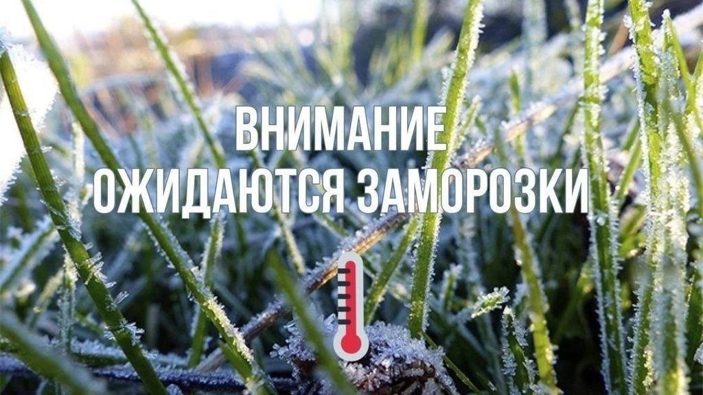 Заморозки до -3° ожидаются ночью в Запорожской области