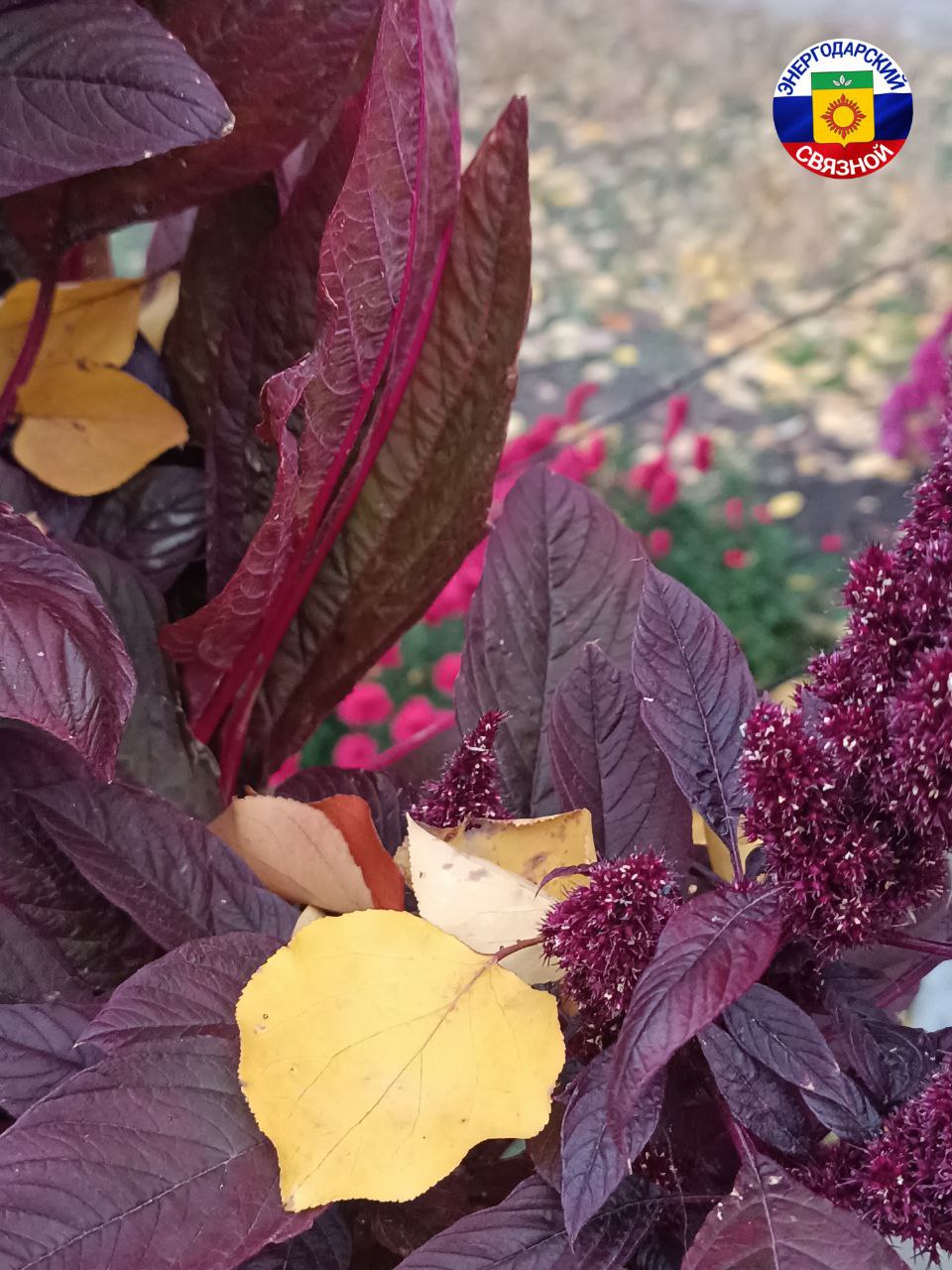 С добрым утром пятницы!. Пятница – это как последний аккорд в красивом музыкальном произведении