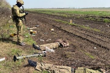 Опорник ВСУ в Запорожской области удалось захватить благодаря ссоре боевиков