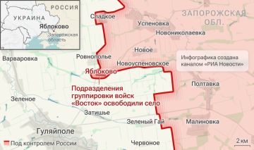 Русская армия приближается к родине Нестора Махно - Гуляйполю