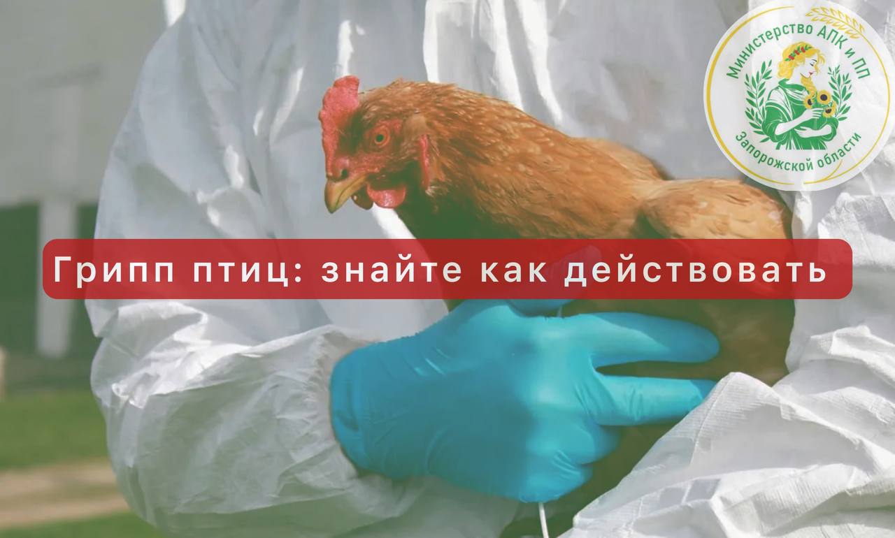 Андрей Сигута: ГБУ "Ветеринарный центр" по Запорожской области напоминает: