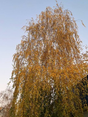 Поздравляем вас с наступлением прекрасного утра! Каждый раз оно неповторимо и замечательно