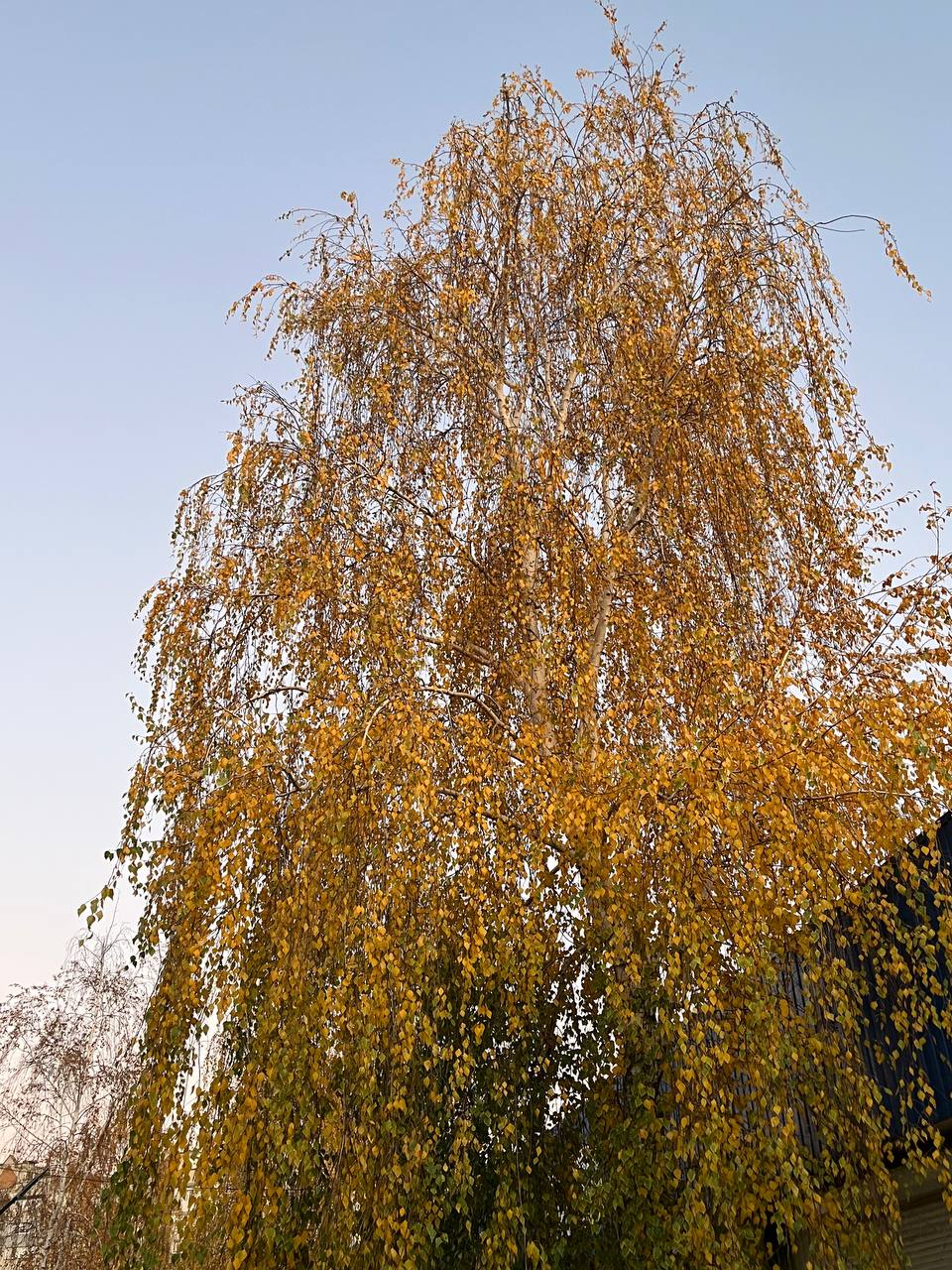 Поздравляем вас с наступлением прекрасного утра! Каждый раз оно неповторимо и замечательно