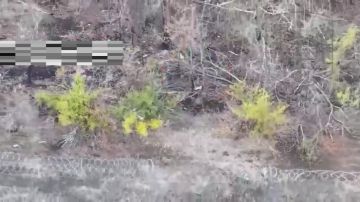 Кадры боевой работы подразделений 58 Армии и 7 дивизии ВДВ на Запорожском направлении