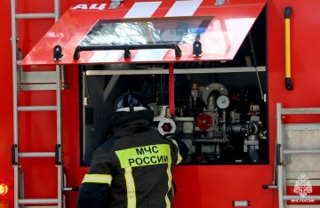 Оперативная информация за сутки