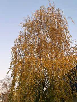 Поздравляем вас с наступлением прекрасного утра! Каждый раз оно неповторимо и замечательно