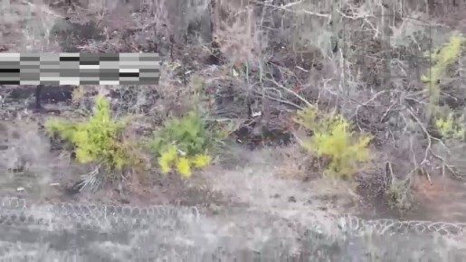 Кадры боевой работы подразделений 58 Армии и 7 дивизии ВДВ на Запорожском направлении