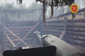 Наши артиллеристы работают из Д-30 по противнику на правом берегу Днепра