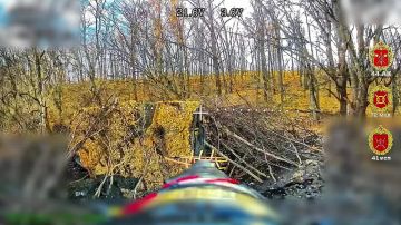 Расчёт БпЛА 41 мсп 44 Армейского корпуса выявил и уничтожил САУ украинских боевиков, тщательно замаскированную в лесном массиве возле Волчанска