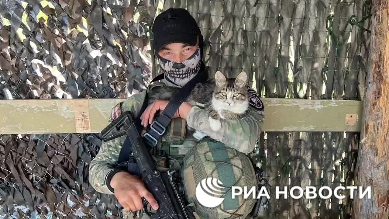 На запорожском направлении бойцам группировки "Восток" помогает необычный напарник - кот по кличке Маркиз, который сопровождает подразделение на боевых задачах и заранее чувствует приближение вражеских дронов, рассказал РИА...