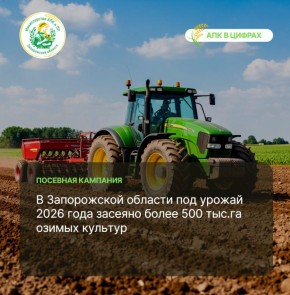 В Запорожской области практически завершены работы по осеннему севу озимых культур