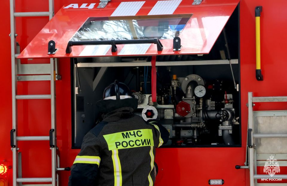 Оперативная информация за сутки