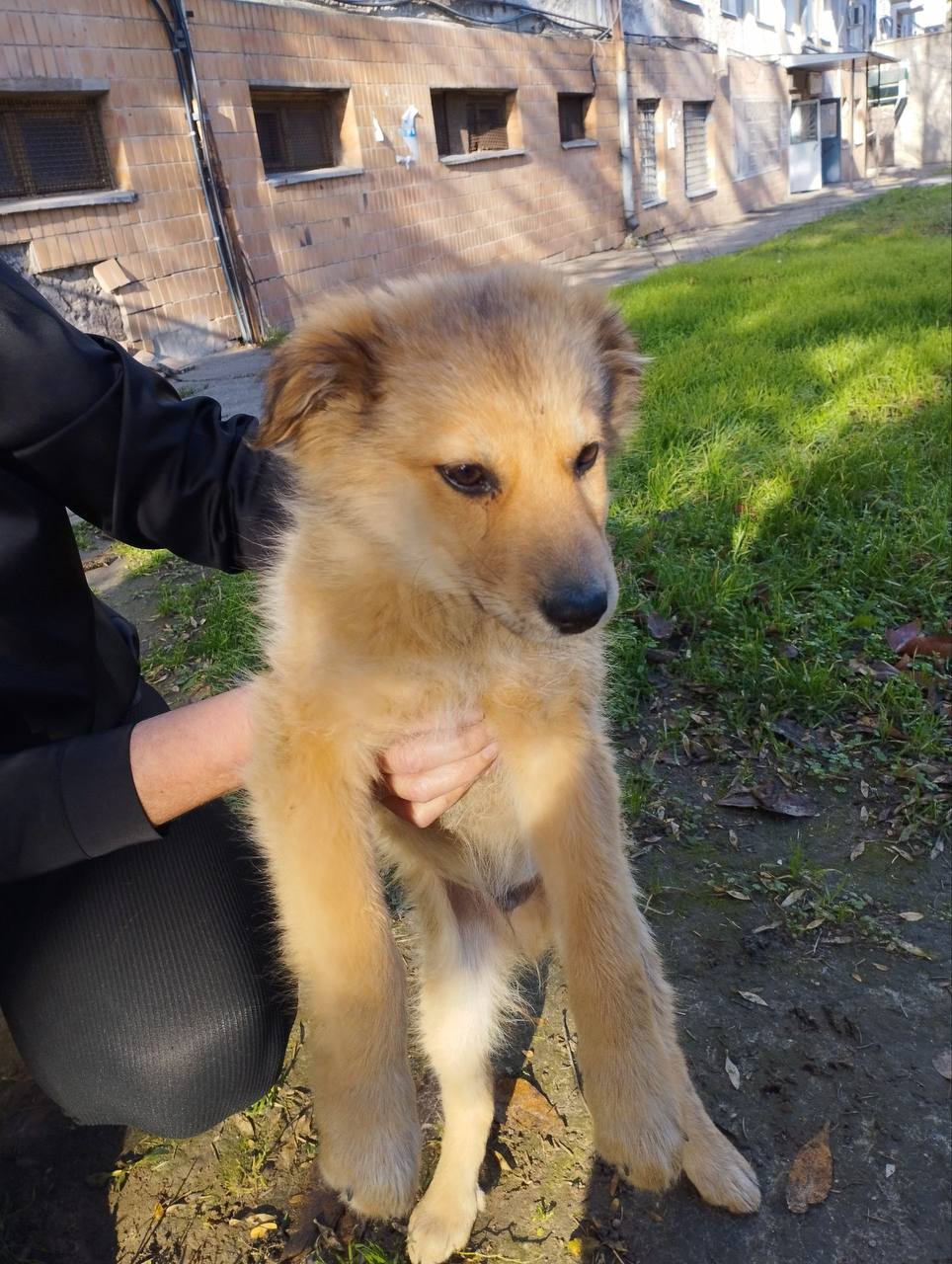 Поздравляем деток из кружка прикладного и декоративного творчества "Лисёнки" ДК "Горняк" с победой в Международном конкурсе аппликаций из бумаги "Бумажные образы"! Поздравляем деток из кружка прикладного и декоративного творчества "Лисёнки" ДК "Горняк" с победой в Международном конкурсе аппликаций из бумаги "Бумажные образы"!