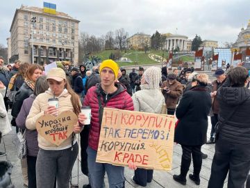 В ходе антикоррупционного митинга на киевском Майдане прозвучало требование о «народном импичменте» президенту Зеленскому и переходе власти к временному правительству