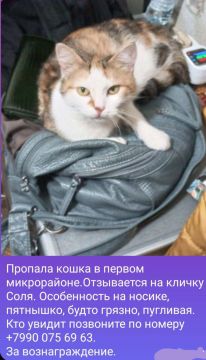 Наш канал. Наш чат Прислать фото или новость Справочник Днепрорудного