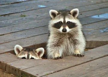 Доброе утро, друзья! Хорошего вам дня и отличного настроения!