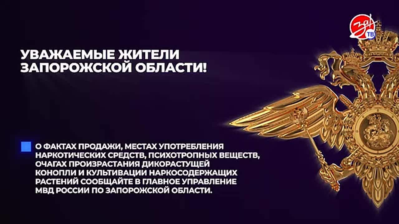 Ваши действия могут спасти жизни: как сообщить о наркопреступлениях в Запорожской области