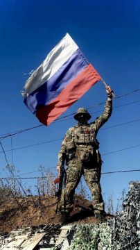 Россия за ноябрь освободила площадь, сопоставимую с Берлином: это около 900 км, — военный аналитик и журналист BILD Рёпке